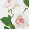 Artificial Flower 20*20*61cm Rose *3 single stem GS-46322006-P4 Single Flowers YeahFlower is one of Chinese leading OEM manufacturers and exporters , supplying the silk flowers, wholesale artificial trees
