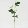Artificial Flower Rose 3 single stem GS-46322007-W2_9 Artificial Flower 20*20*61cm Rose *3 single stem GS-46322007-W2 Single Flowers YeahFlower is one of Chinese leading OEM manufacturers and exporters , supplying the silk flowers, wholesale artificial trees