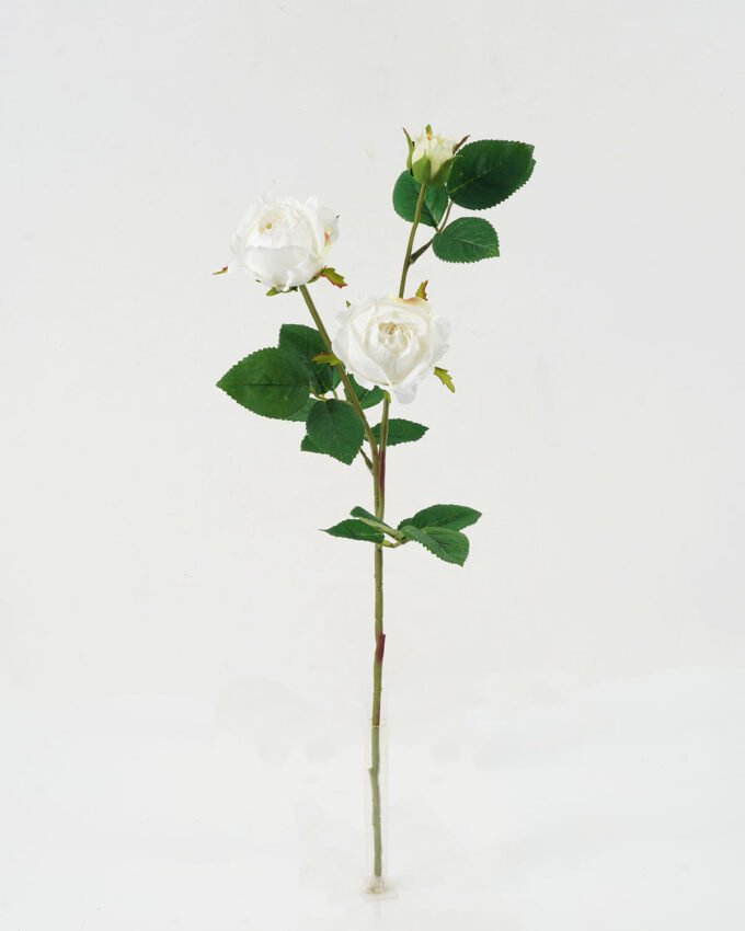 Artificial Flower Rose 3 single stem GS-46322007-W2_9 Artificial Flower 20*20*61cm Rose *3 single stem GS-46322007-W2 Single Flowers YeahFlower is one of Chinese leading OEM manufacturers and exporters , supplying the silk flowers, wholesale artificial trees