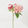 Artificial Flower Short peony 2 simgle stem GS-46322004-W4_5 Artificial Flower 20*20*36cm Short peony *2 simgle stem GS-46322004-W4 Single Flowers YeahFlower is one of Chinese leading OEM manufacturers and exporters , supplying the silk flowers, wholesale artificial trees
