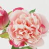 Artificial Flower Short peony 2 simgle stem GS-46322004-W4_8 Artificial Flower 20*20*36cm Short peony *2 simgle stem GS-46322004-W4 Single Flowers YeahFlower is one of Chinese leading OEM manufacturers and exporters , supplying the silk flowers, wholesale artificial trees