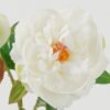 Artificial Flower 20*20*36cm Short peony *2 simgle stem GS-46322004 Single Flowers YeahFlower is one of Chinese leading OEM manufacturers and exporters , supplying the silk flowers, wholesale artificial trees