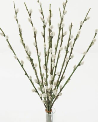 Artificial Flower 25*25*42cm Silver willow bush GS-38322001 Flowers Bush YeahFlower is one of Chinese leading OEM manufacturers and exporters , supplying the silk flowers, wholesale artificial trees