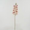 Artificial Flower Singel Orchid 9 GS-64921010-C1_1 Artificial Flower 18*94CM Singel Orchid*9 GS-64921010-C1 Single Flowers YeahFlower is one of Chinese leading OEM manufacturers and exporters , supplying the silk flowers, wholesale artificial trees