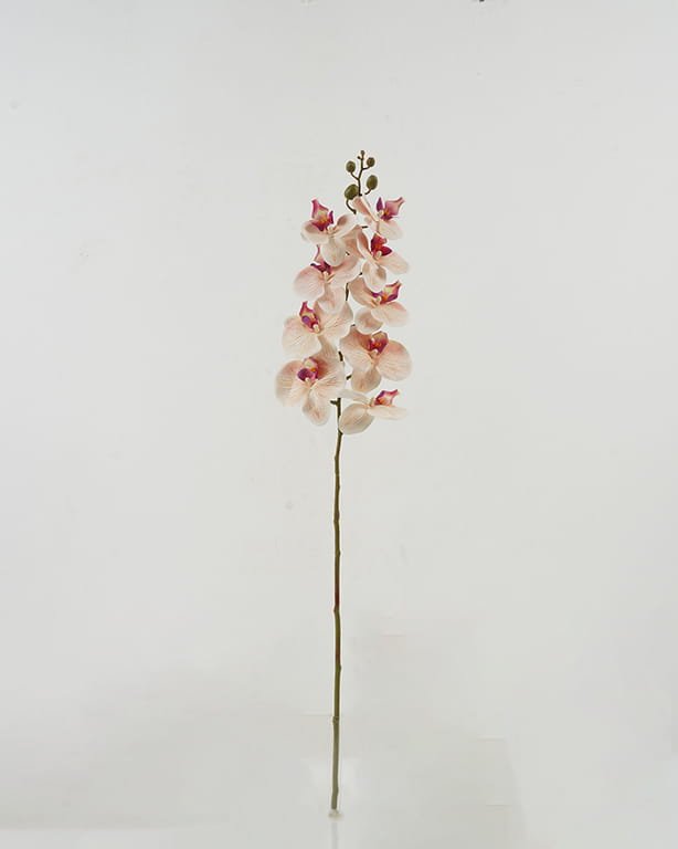 Artificial Flower Singel Orchid 9 GS-64921010-C1_1 Artificial Flower 18*94CM Singel Orchid*9 GS-64921010-C1 Single Flowers YeahFlower is one of Chinese leading OEM manufacturers and exporters , supplying the silk flowers, wholesale artificial trees