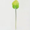 Artificial Flower 11*11*69cm Super-large anthurium single stem GS-41522006-G1 Single Flowers YeahFlower is one of Chinese leading OEM manufacturers and exporters , supplying the silk flowers, wholesale artificial trees