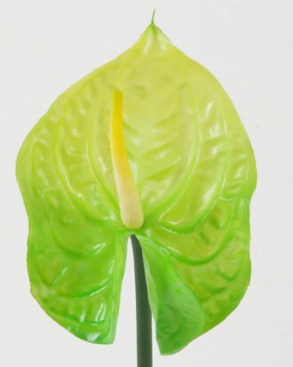Artificial Flower 11*11*69cm Super-large anthurium single stem GS-41522006-G1 Single Flowers YeahFlower is one of Chinese leading OEM manufacturers and exporters , supplying the silk flowers, wholesale artificial trees Artificial Flower 11*11*69cm Super-large anthurium single stem GS-41522006-G1 Single Flowers YeahFlower is one of Chinese leading OEM manufacturers and exporters , supplying the silk flowers, wholesale artificial trees
