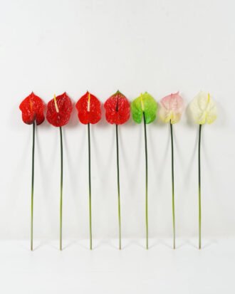 Artificial Flower 11*11*69cm Super-large anthurium single stem GS-41522006 Single Flowers YeahFlower is one of Chinese leading OEM manufacturers and exporters , supplying the silk flowers, wholesale artificial trees Artificial Flower 11*11*69cm Super-large anthurium single stem GS-41522006 Single Flowers YeahFlower is one of Chinese leading OEM manufacturers and exporters , supplying the silk flowers, wholesale artificial trees