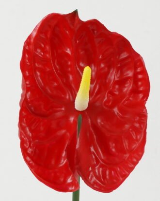 Artificial Flower 15*15*69cm Super-large anthurium single stem GS-41522007-R3 Single Flowers YeahFlower is one of Chinese leading OEM manufacturers and exporters , supplying the silk flowers, wholesale artificial trees Artificial Flower 15*15*69cm Super-large anthurium single stem GS-41522007-R3 Single Flowers YeahFlower is one of Chinese leading OEM manufacturers and exporters , supplying the silk flowers, wholesale artificial trees