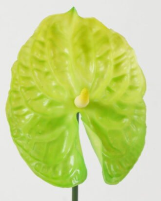 Artificial Flower 15*15*69cm Super-large anthurium single stem GS-41522007 Single Flowers YeahFlower is one of Chinese leading OEM manufacturers and exporters , supplying the silk flowers, wholesale artificial trees Artificial Flower 15*15*69cm Super-large anthurium single stem GS-41522007 Single Flowers YeahFlower is one of Chinese leading OEM manufacturers and exporters , supplying the silk flowers, wholesale artificial trees