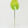 Artificial Flower 15*15*69cm Super-large anthurium single stem GS-41522007 Single Flowers YeahFlower is one of Chinese leading OEM manufacturers and exporters , supplying the silk flowers, wholesale artificial trees