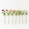 Artificial Flower Thousand layer flower 2 single stem GS-46322008_1 Artificial Flower 13*13*49cm Thousand layer flower *2 single stem GS-46322008 Single Flowers YeahFlower is one of Chinese leading OEM manufacturers and exporters , supplying the silk flowers, wholesale artificial trees