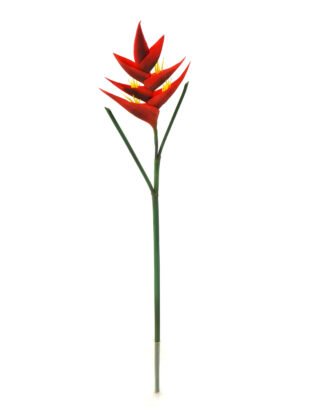 Artificial Flower 19*19*87cm Tropical flower single stem GS-41522002-R1 Single Flowers YeahFlower is one of Chinese leading OEM manufacturers and exporters , supplying the silk flowers, wholesale artificial trees Artificial Flower 19*19*87cm Tropical flower single stem GS-41522002-R1 Single Flowers YeahFlower is one of Chinese leading OEM manufacturers and exporters , supplying the silk flowers, wholesale artificial trees
