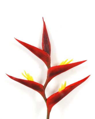 Artificial Flower 19*19*87cm Tropical flower single stem GS-41522004-R1 Single Flowers YeahFlower is one of Chinese leading OEM manufacturers and exporters , supplying the silk flowers, wholesale artificial trees Artificial Flower 19*19*87cm Tropical flower single stem GS-41522004-R1 Single Flowers YeahFlower is one of Chinese leading OEM manufacturers and exporters , supplying the silk flowers, wholesale artificial trees