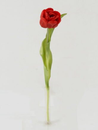 Artificial Flower 20*20*56cm Amaryllis Vittata single stem GS-41522008-R1 Single Flowers 3,000+ sqm showroom with thousands of artificial flowers, plants & trees ready for global sourcing.