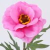 Artificial Flower anemone single SPRING GS-16822034_2 Artificial Flower 14*44CM anemone single (SPRING) GS-16822034 Single Flowers YeahFlower is one of Chinese leading OEM manufacturers and exporters , supplying the silk flowers, wholesale artificial trees