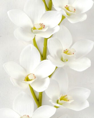 Artificial Flower 13*13*76cm cymbedium  single stem GS-64922001-W1 Single Flowers YeahFlower is one of Chinese leading OEM manufacturers and exporters , supplying the silk flowers, wholesale artificial trees