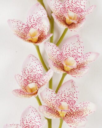 Artificial Flower 13*13*76cm cymbedium  single stem GS-64922001-W2 Single Flowers YeahFlower is one of Chinese leading OEM manufacturers and exporters , supplying the silk flowers, wholesale artificial trees