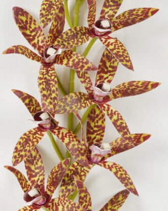 Artificial Flower 13*13*75cm cymbedium  single stem GS-64922002-Y2 Single Flowers YeahFlower is one of Chinese leading OEM manufacturers and exporters , supplying the silk flowers, wholesale artificial trees