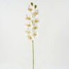Artificial Flower 19*19*90cm  cymbedium  single stem GS-64922009-W1 Single Flowers YeahFlower is one of Chinese leading OEM manufacturers and exporters , supplying the silk flowers, wholesale artificial trees