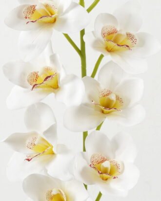 Artificial Flower 19*19*90cm  cymbedium  single stem GS-64922009-W1 Single Flowers YeahFlower is one of Chinese leading OEM manufacturers and exporters , supplying the silk flowers, wholesale artificial trees