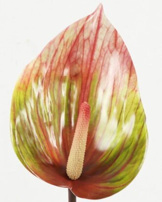 Artificial Flower 15*15*90cm single stem GS-64922014-G2 Single Flowers YeahFlower is one of Chinese leading OEM manufacturers and exporters , supplying the silk flowers, wholesale artificial trees