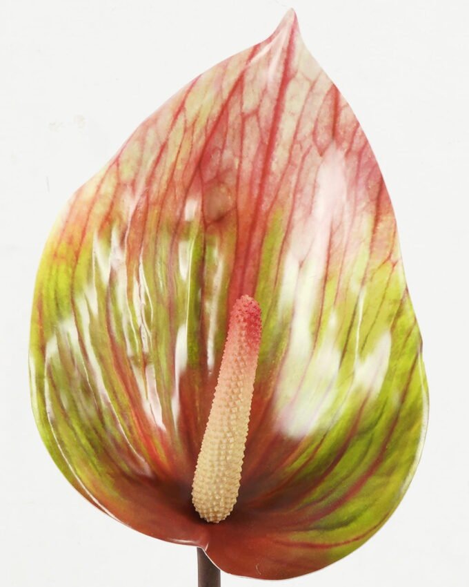 Artificial Flower 15*15*90cm single stem GS-64922014-G2 Single Flowers YeahFlower is one of Chinese leading OEM manufacturers and exporters , supplying the silk flowers, wholesale artificial trees