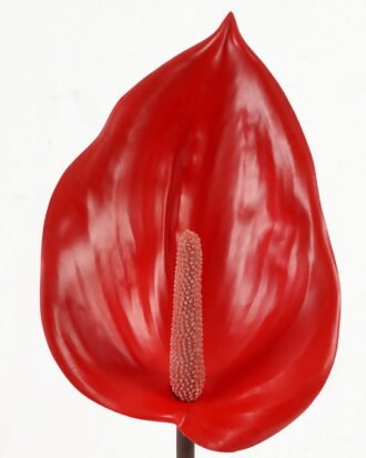 Artificial Flower 15*15*90cm single stem GS-64922014-R1 Single Flowers YeahFlower is one of Chinese leading OEM manufacturers and exporters , supplying the silk flowers, wholesale artificial trees