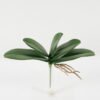 Artificial Plant 30cm Orchid leaf single stem GS-64922018 Leaves&Sprays&Foliages YeahFlower is one of Chinese leading OEM manufacturers and exporters , supplying the silk flowers, wholesale artificial trees