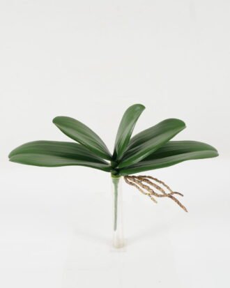 Artificial Plant 30cm Orchid leaf single stem GS-64922018 Leaves&Sprays&Foliages YeahFlower is one of Chinese leading OEM manufacturers and exporters , supplying the silk flowers, wholesale artificial trees