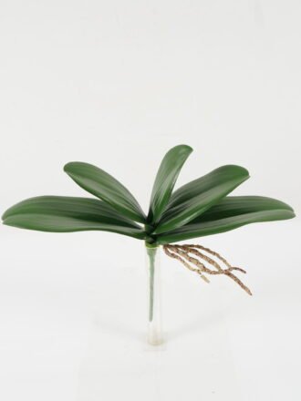 Artificial Plant 33*33*64cm Lines curled *9 bush GS-59522031 Leaves&Sprays&Foliages 3,000+ sqm showroom with thousands of artificial flowers, plants & trees ready for global sourcing.
