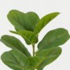 Artificial Plant 60cm banyan leaf   single stem GS-64922004 Leaves&Sprays&Foliages YeahFlower is one of Chinese leading OEM manufacturers and exporters , supplying the silk flowers, wholesale artificial trees