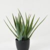 Artificial Plant 39*39*42cm Aloe *3 in pp pot GS-59522035 Potted Flowers&Plants YeahFlower is one of Chinese leading OEM manufacturers and exporters , supplying the silk flowers, wholesale artificial trees