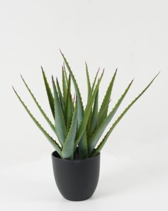 Artificial Plant 39*39*42cm Aloe *3 in pp pot GS-59522035