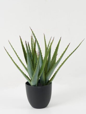 Artificial Plant 48*48*45cm Aloe bush GS-59522034 Potted Flowers&Plants 3,000+ sqm showroom with thousands of artificial flowers, plants & trees ready for global sourcing.