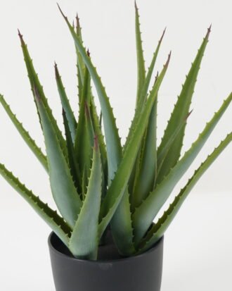 Artificial Plant 39*39*42cm Aloe *3 in pp pot GS-59522035 Potted Flowers&Plants YeahFlower is one of Chinese leading OEM manufacturers and exporters , supplying the silk flowers, wholesale artificial trees