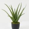 Artificial Plant 48*48*45cm Aloe bush GS-59522034 Potted Flowers&Plants YeahFlower is one of Chinese leading OEM manufacturers and exporters , supplying the silk flowers, wholesale artificial trees