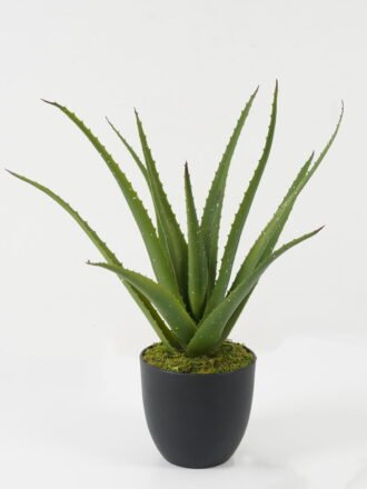 Artificial Plant 60*60*70cm Dracaena marginata tree in pp pot GS-59522033 Potted Flowers&Plants 3,000+ sqm showroom with thousands of artificial flowers, plants & trees ready for global sourcing.