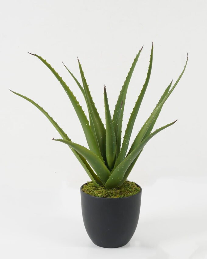 Artificial Plant 48*48*45cm Aloe bush GS-59522034 Potted Flowers&Plants YeahFlower is one of Chinese leading OEM manufacturers and exporters , supplying the silk flowers, wholesale artificial trees