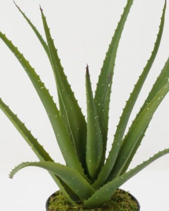 Artificial Plant 48*48*45cm Aloe bush GS-59522034 Potted Flowers&Plants YeahFlower is one of Chinese leading OEM manufacturers and exporters , supplying the silk flowers, wholesale artificial trees