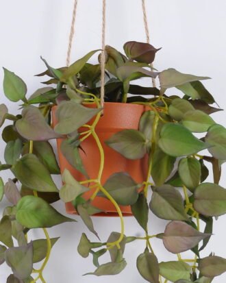 Artificial Plant 24*24*59cm Anthurium hanging *6 in PP pot GS-47122027 Banners&Garlands YeahFlower is one of Chinese leading OEM manufacturers and exporters , supplying the silk flowers, wholesale artificial trees