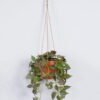 Artificial Plant 24*24*59cm Anthurium hanging *6 in PP pot GS-47122027 Banners&Garlands YeahFlower is one of Chinese leading OEM manufacturers and exporters , supplying the silk flowers, wholesale artificial trees
