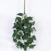 Artificial Plant 16*16*39cm Anthurium hanging GS-47122003 Leaves&Sprays&Foliages YeahFlower is one of Chinese leading OEM manufacturers and exporters , supplying the silk flowers, wholesale artificial trees