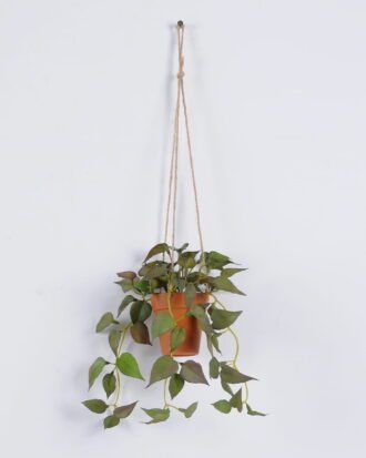 Artificial Plant 20*20*54cm Anthurium hanging in PP pot GS-47122021-G3 Banners&Garlands YeahFlower is one of Chinese leading OEM manufacturers and exporters , supplying the silk flowers, wholesale artificial trees