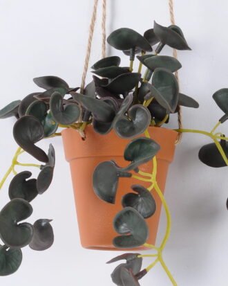 Artificial Plant 20*20*54cm Anthurium hanging in PP pot GS-47122021 Banners&Garlands YeahFlower is one of Chinese leading OEM manufacturers and exporters , supplying the silk flowers, wholesale artificial trees