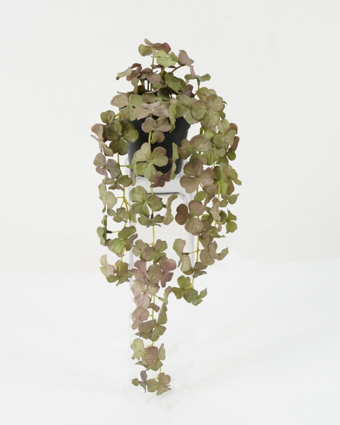 Artificial Plant 20*20*43cm Clover Potted leaf in PP pot GS-47122039 Leaves&Sprays&Foliages YeahFlower is one of Chinese leading OEM manufacturers and exporters , supplying the silk flowers, wholesale artificial trees