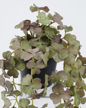Artificial Plant 20*20*43cm Clover Potted leaf in PP pot GS-47122039 Leaves&Sprays&Foliages YeahFlower is one of Chinese leading OEM manufacturers and exporters , supplying the silk flowers, wholesale artificial trees