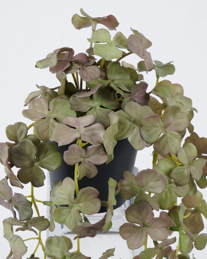 Artificial Plant 20*20*43cm Clover Potted leaf in PP pot GS-47122039 Leaves&Sprays&Foliages YeahFlower is one of Chinese leading OEM manufacturers and exporters , supplying the silk flowers, wholesale artificial trees