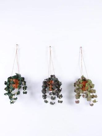Artificial Plant 24*24*58cm Turtle back hanging *6 in PP pot GS-47122029 Banners&Garlands 3,000+ sqm showroom with thousands of artificial flowers, plants & trees ready for global sourcing.