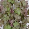 Artificial Plant 16*16*59cm Clover hanging GS-47122012 Leaves&Sprays&Foliages YeahFlower is one of Chinese leading OEM manufacturers and exporters , supplying the silk flowers, wholesale artificial trees